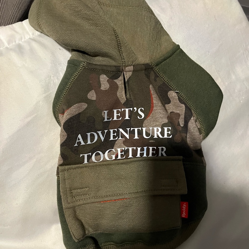 New dog hoodie
